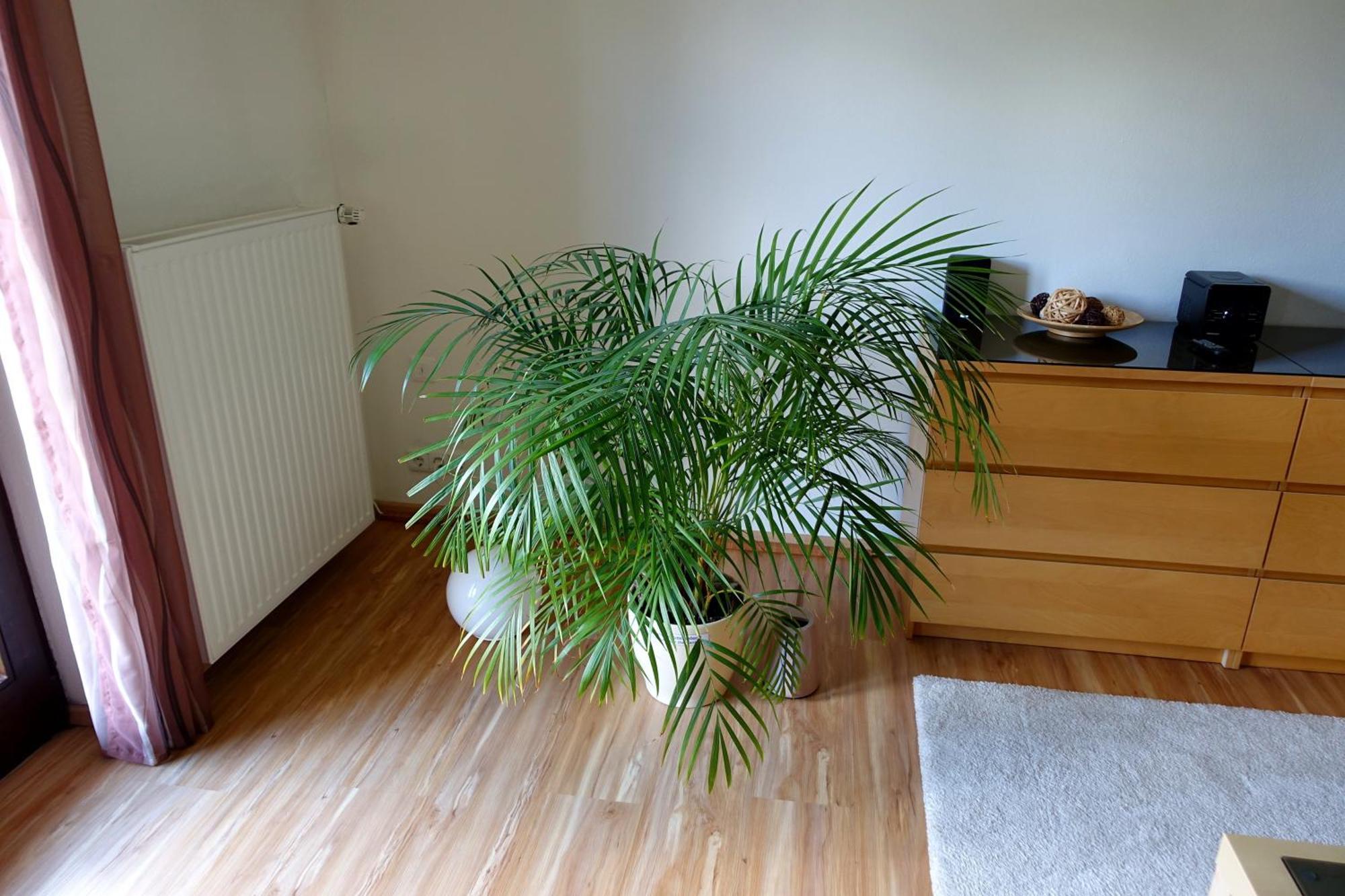 Ferienwohnung Ariane Garmisch-Partenkirchen Exterior photo